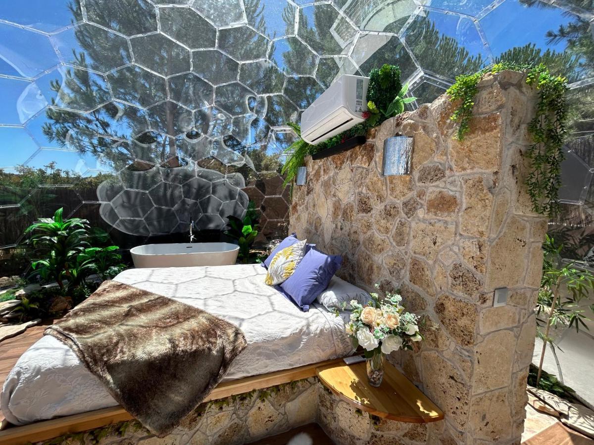 Skd Suite Garnacha อาบีลา ภายนอก รูปภาพ